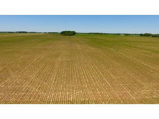 Property photo 9 - LAND AUCTION - 472+/- ACRES IN 7 TRACTS IN GRANT COUNTY, INDIANA
